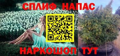 метадон Краснознаменск