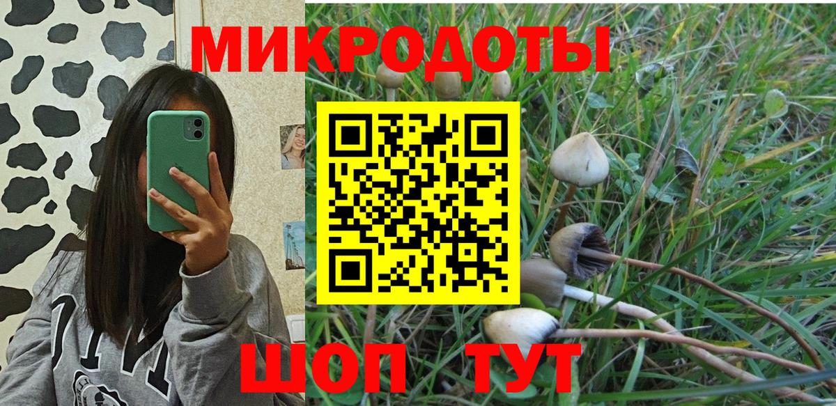 Галлюциногенные грибы Cubensis Дзержинский