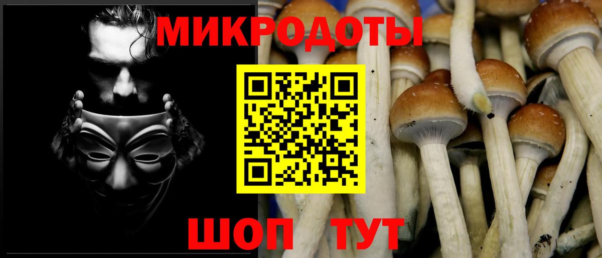 Дзержинский  Псилоцибиновые грибы Magic Shrooms  Вход с VPN 